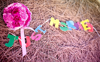Holidays, Flowers, Bouquet, Mood, Moods, Hay, Just Married HD wallpaper