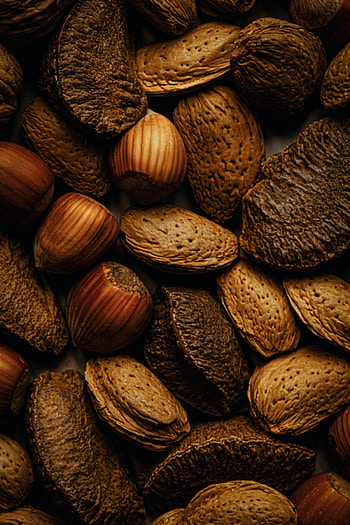 Food, Nuts, Brown, Fruit, Almond, Hazelnut HD phone wallpaper