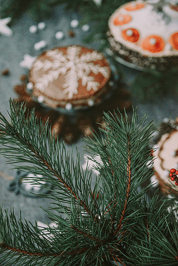 Holidays, Needle, Blur, Smooth, Christmas, Branch, Christmas Tree HD phone wallpaper