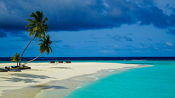 Ocean View Slanting Palm Trees On Beach Sand Sea Waves Under Blue Sky Nature HD wallpaper