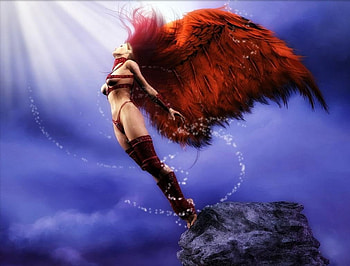 angle towards sky, away, fly HD wallpaper