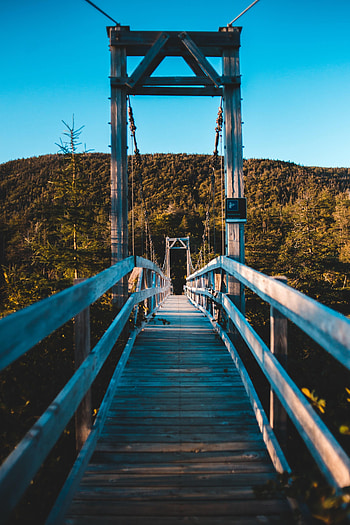 Nature, Trees, Forest, Bridge, Hill, Perspective, Prospect HD phone wallpaper