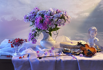 Still Life, vase, life, still, flower HD wallpaper