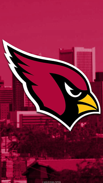 The Highest Quality Arizona Cardinals Football Schedule and Logo Backgrounds for , Andriod, Galaxy, and PC. HD phone wallpaper