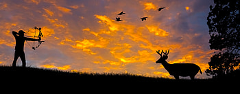 Hunt N Stuff Archery HD wallpaper