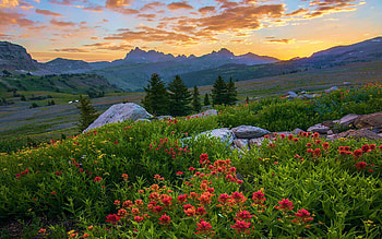 Sunrise over the Tetons, wildflowers, clouds, colors, sky, mountains, usa, wyoming HD wallpaper
