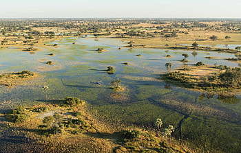 Okavango Delta, Helicopter adventure, Craft beer, Explore Maun HD wallpaper