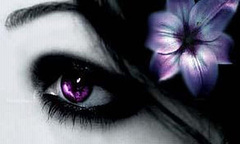 Eyes9, purple, flower, eyes, colors, female HD wallpaper