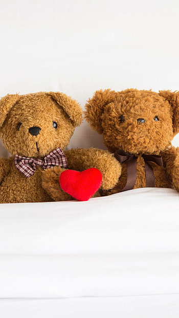 Teddy Bear Ka, Love, Teddy Bear HD phone wallpaper