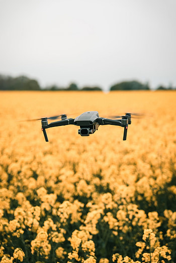 Drone, Sustainability, Protecting environment, Technology HD phone wallpaper