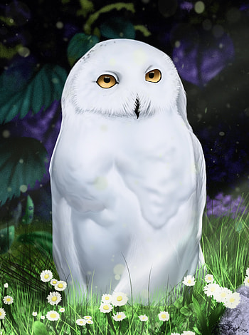 Art, Owl, Bird HD phone wallpaper