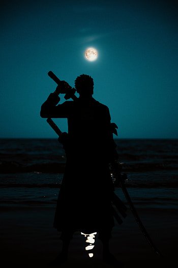 Zoro, beach, swordsman, roronoazoro, onepiece, anime HD phone wallpaper