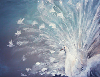 White peacock, blue, white, feather, painting, art, pictura, peacock HD wallpaper