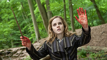 Harry Potter, Movie, Harry Potter And The Deathly Hallows: Part 1 HD wallpaper