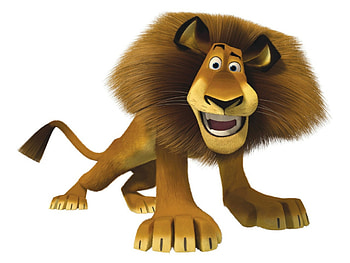 Madagascar, Movie , Disney characters HD wallpaper