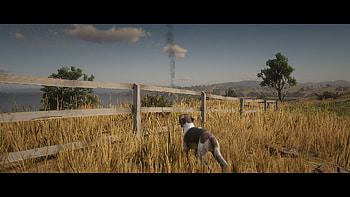 Red Dead Redemption 2 — Hound by the Fence, video game, Red Dead Redemption 2 HD wallpaper