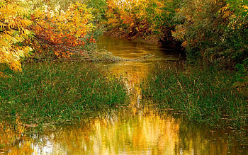 Landscape, Rivers, Grass, Autumn HD wallpaper