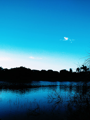 Trees, Grass, Sky, Dark, Evening, Pond HD phone wallpaper