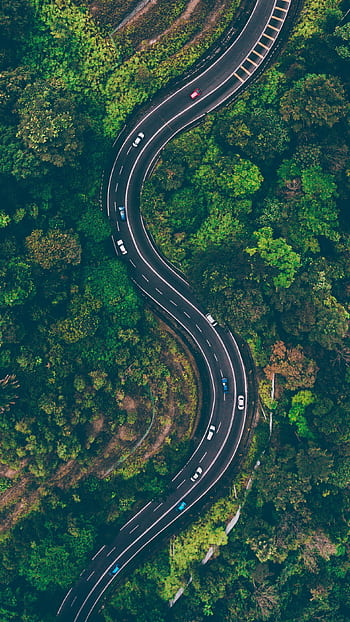 A sweeping aerial view of an S-shaped road winding through vibrant green Malaysian forest. HD phone wallpaper