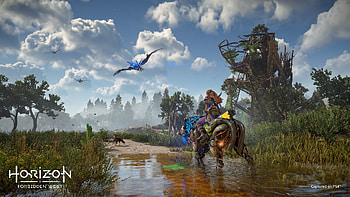 Aloy Horizon Forbidden West HD wallpaper