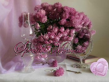 Special Moments, pink, flowers, curtain, light HD wallpaper