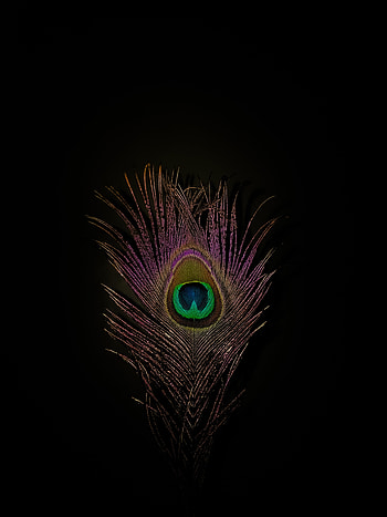 Mor pankh, love, beautiful, good HD phone wallpaper