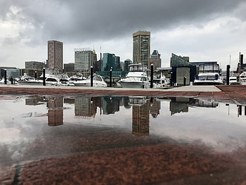 Baltimore Skyline, Urban charm, Rainy frustrations, Record-breaking year HD wallpaper