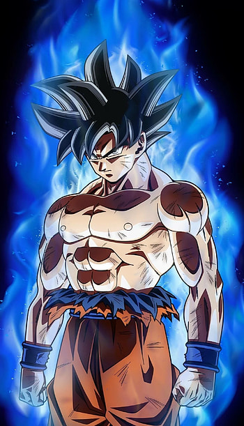 Dragon Ball Goku, Goku Body HD phone wallpaper