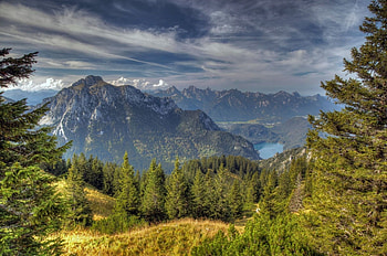 Nature, Sky, Vertex, Height, Color, Colors, Tops, Coniferous Forest HD wallpaper