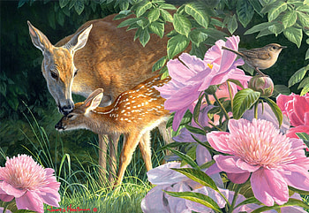 Spring's Fawn, deer, bird, painting, blossoms, flowers HD wallpaper