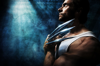 Wolverine, wolverine, movies HD wallpaper