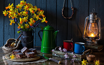 Still Life Brownies, dessert, brownies, still life, food HD wallpaper