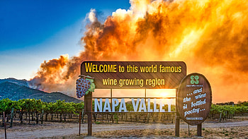 Challenging year for Napa Valley, Wine industry struggles, 2020 recap, Local news HD wallpaper