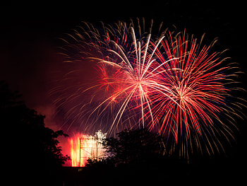 Salute, Dark, Sparks, Wood, Tree HD wallpaper