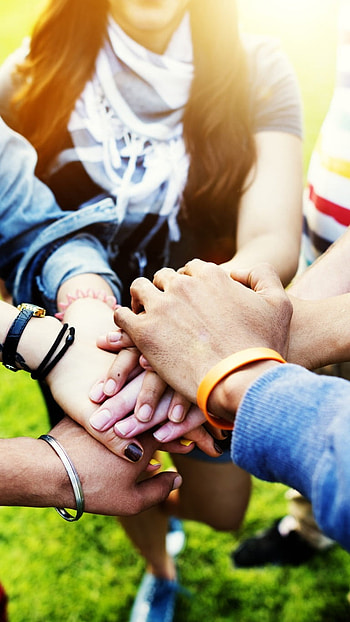 Friendship Whatsapp, Friendship Hands HD phone wallpaper