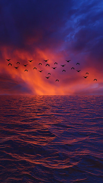 Waves in the sky, Bird's eye view, Pleasant scenery, Nature's beauty HD phone wallpaper