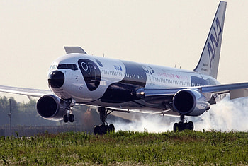 All Nippon Airways, Panda Boeing 767, Aviation mystery, Plane modification HD wallpaper