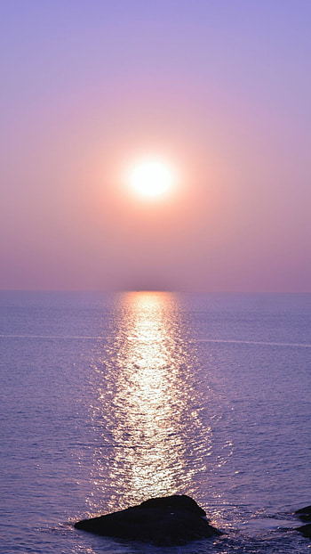 Golden sunlight, Serene landscapes, Warmth and beauty, Nature's brilliance HD phone wallpaper