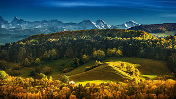 Bernese Alps, Switzerland, fall, landscape, trees, colors, sky, forest HD wallpaper