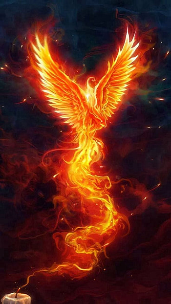 Android Phoenix - 2019 X 254312710194166962. Phoenix bird tattoos, Phoenix art, Phoenix artwork, Mythical Phoenix HD phone wallpaper