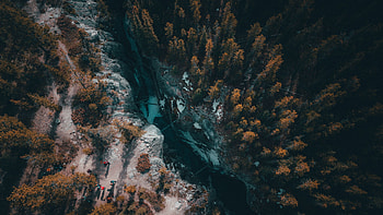 Aerial view, river, forest, Canada HD wallpaper