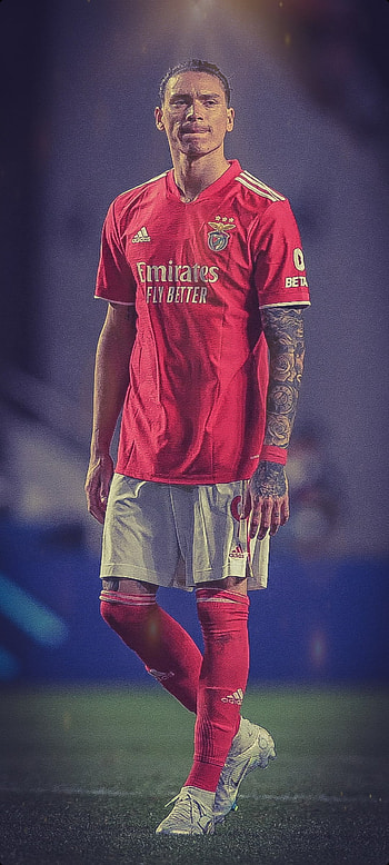 Darwin Nuñez, manutd, striker, nunez, football, uruguay, ajax, Benfica, ucl HD phone wallpaper