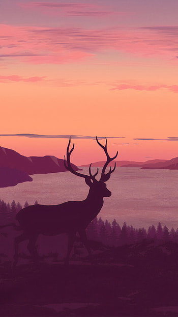 Reindeer minimalist call, of sunset HD phone wallpaper