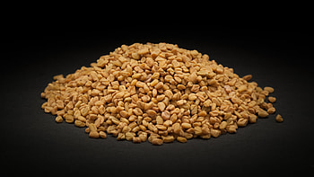 Fenugreek allergy, Allergic reaction, Food sensitivity, Health concern HD wallpaper
