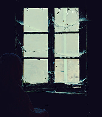 Web, Miscellanea, Miscellaneous, Window, Loneliness, Alone, Lonely, Abandoned, Hopelessness, Despair HD phone wallpaper