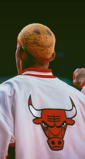 Dennis Rodman, michael_jordan, dennis_rodman, chicago_bulls, jordan, bulls HD phone wallpaper