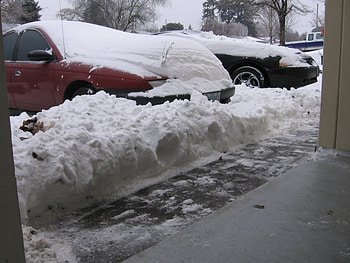 Too much!, cold, winter, snow, ice HD wallpaper