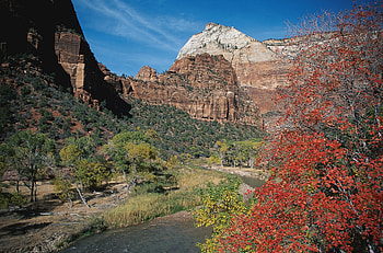 Nature, Rivers, Trees, Mountains, Autumn, Vegetation, Diversity, Variety HD wallpaper