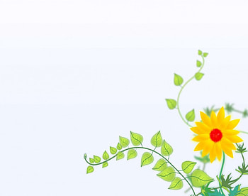 Yellow flower, vector, flowers HD wallpaper