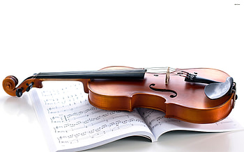 violin on music sheets, music, book, violin, sheets HD wallpaper